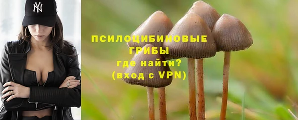 мдма Богданович