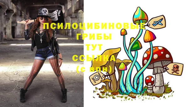 ECSTASY Беломорск