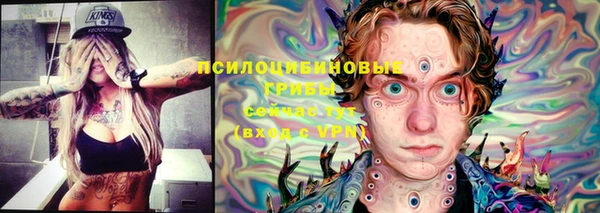 не бодяженный Белокуриха