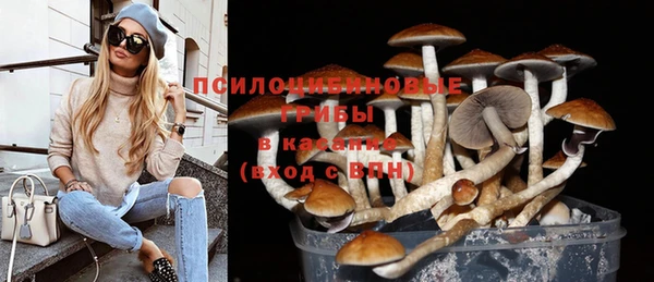 наркотики Богородицк